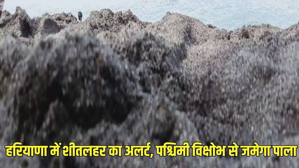 Haryana weather update : हरियाणा में शीतलहर का अलर्ट, पश्चिमी विक्षोभ से जमेगा पाला 