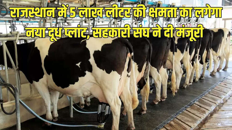 New Milk Plant  राजस्थान में 5 लाख लीटर की क्षमता का लगेगा नया दूध प्लांट, सहकारी संघ ने दी मंजूरी&nbsp;