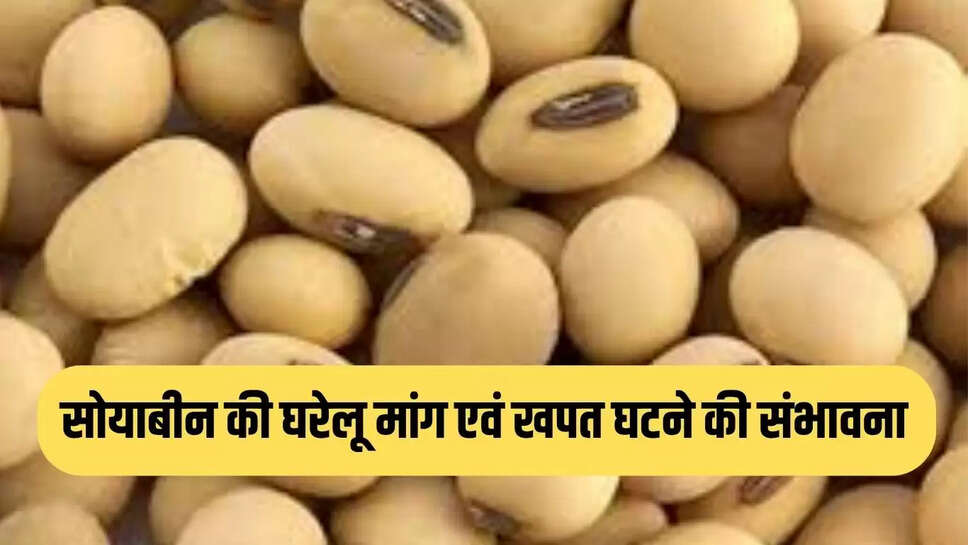 सोयाबीन की घरेलू मांग एवं खपत घटने की संभावना
