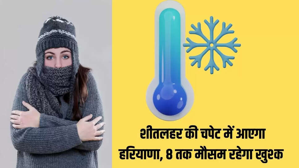 Cold Wave Alert  शीतलहर की चपेट में आएगा हरियाणा, 8 तक मौसम रहेगा खुश्क&nbsp;
