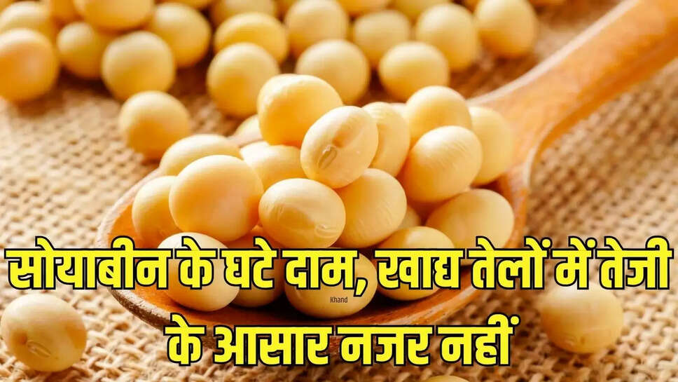 soybean prices : सोयाबीन के घटे दाम, खाद्य तेलों में तेजी के आसार नजर नहीं