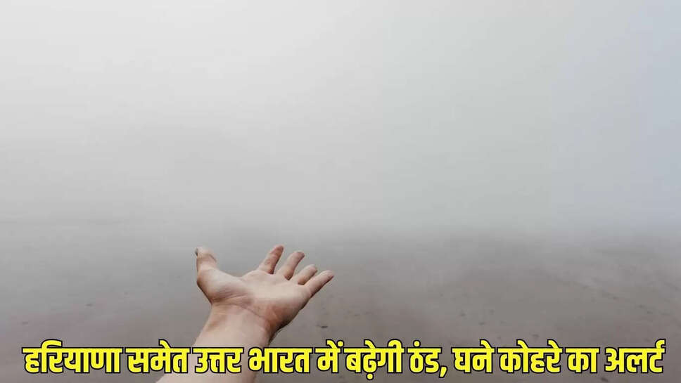 Dense Fog Alert  हरियाणा समेत उत्तर भारत में बढ़ेगी ठंड, घने कोहरे का अलर्ट