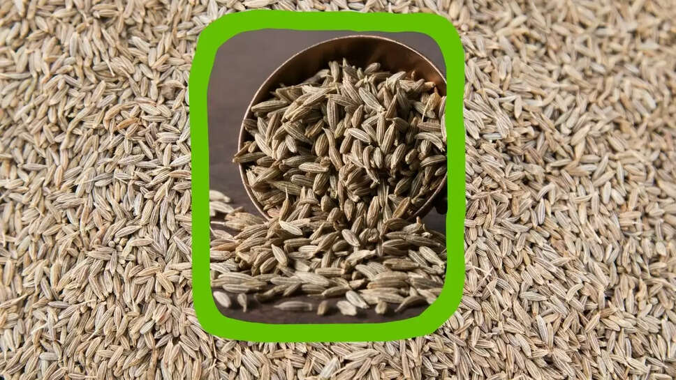 Cumin Price  जीरा, मखाना और बादाम में तेजी, कश्मीर में बर्फबारी से केसर उत्पादक खुश
