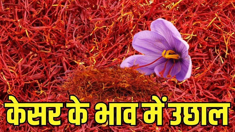 Mandi Bhav&nbsp;  केसर के भाव में अचानक ही 40 हजार रुपये का उछाल, पिस्ता भी हुआ महंगा&nbsp;