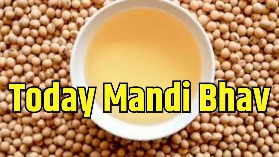 Today  Mandi Bhav  विदेशी बाजारों में आई गिरावट से सोया तेल के रेट में आई मंदी 