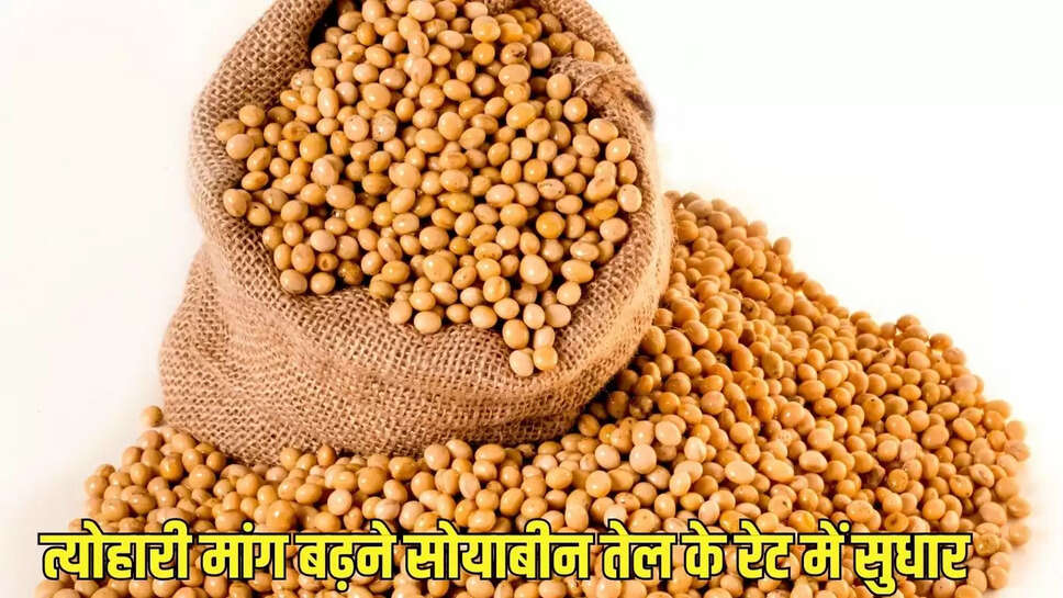 त्योहारी मांग बढ़ने सोयाबीन तेल के रेट में सुधार, मूंगफली तेल में भी तेजी