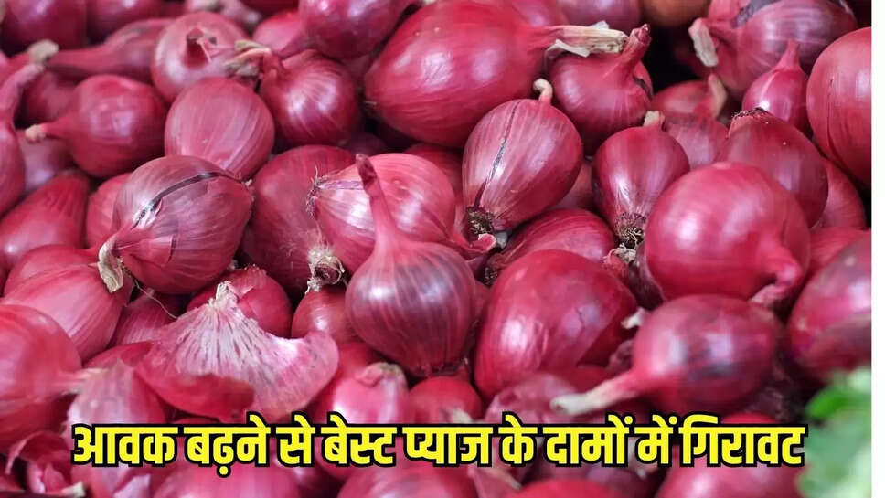 आवक बढ़ने से बेस्ट प्याज के दामों में गिरावट 