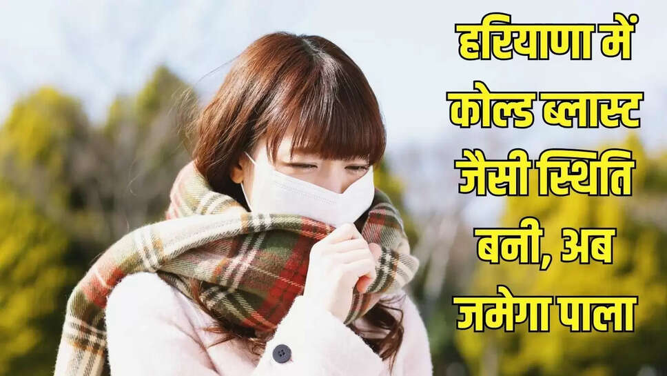 Haryana weather  हरियाणा में कोल्ड ब्लास्ट जैसी स्थिति बनी, अब जमेगा पाला