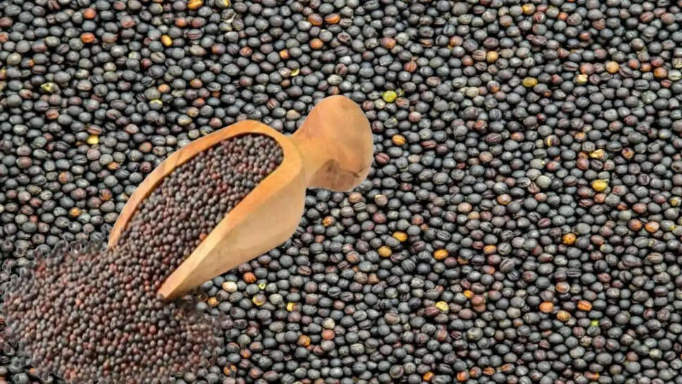 Mandi BHav : स्टॉकिस्ट की नजर पड़ी सरसों पर, भाव में लगातार आ रहा उछाल&nbsp;