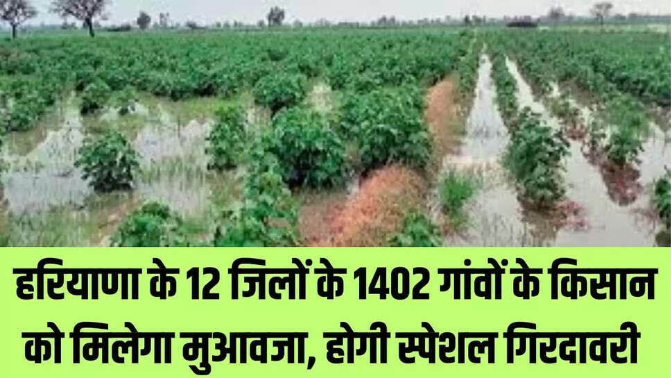 Special Girdawari : हरियाणा के 12 जिलों के 1402 गांवों के किसान को मिलेगा मुआवजा, होगी स्पेशल गिरदावरी 