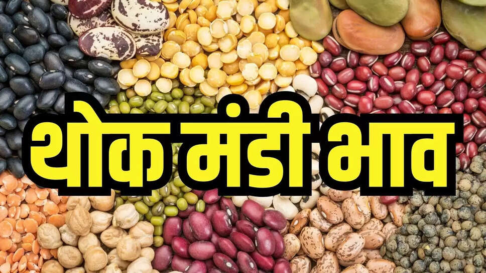 Mandi Bhav 15 July : स्टॉकिस्टों की सक्रियता से चने के भाव में उछाल, जाने दाल के थोक भाव 