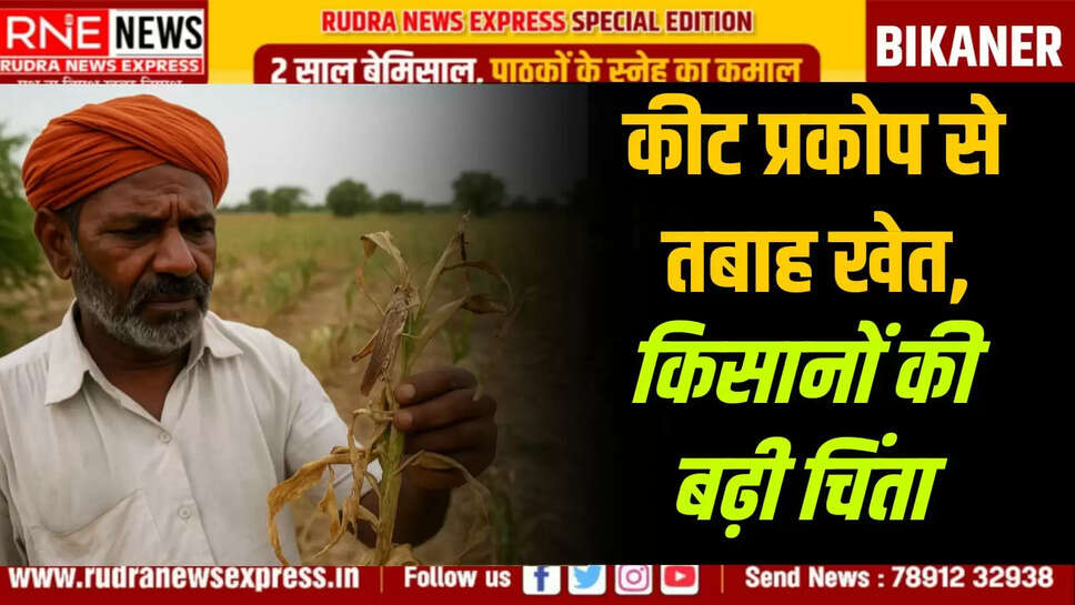 kisan