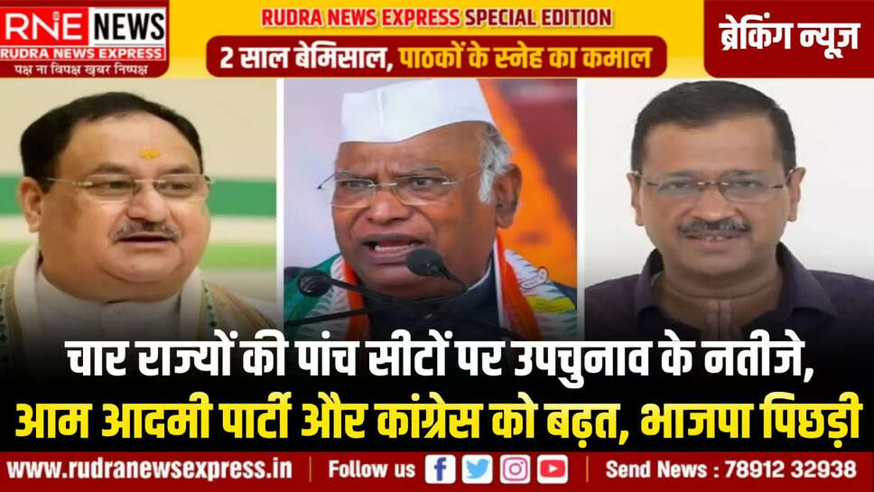 आम आदमी पार्टी और कांग्रेस को बढ़त, भाजपा पिछड़ी