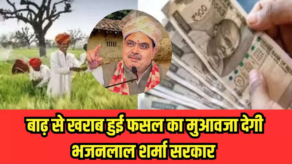Rajasthan news