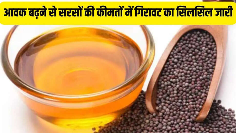 Mustard price : आवक बढ़ने से सरसों की कीमतों में गिरावट का सिलसिल जारी