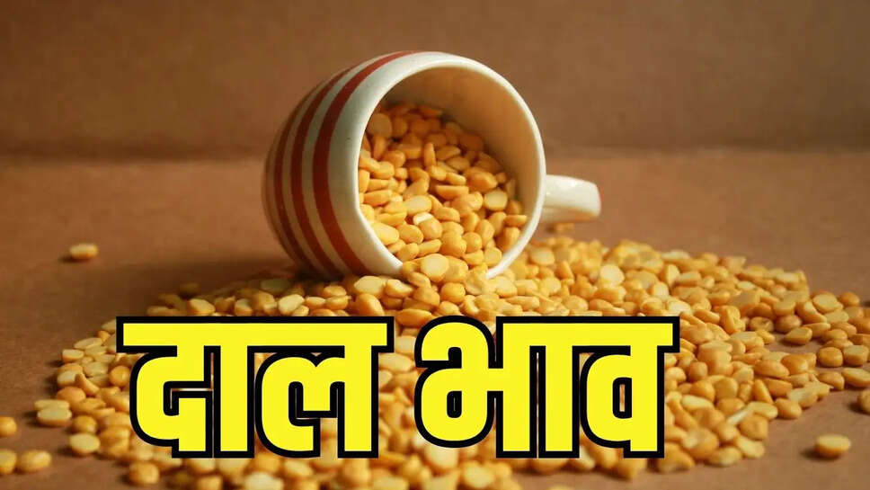 Toor Dal Price  उत्पादन केंद्रों पर आई तेजी से तुवर के दाम बढ़े, जानें दाल दलहनों के थोक भाव