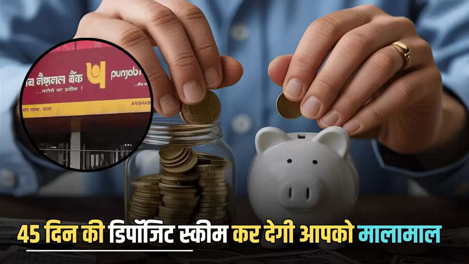PNB FD SCHEME: PNB बैंक की 45 दिन की डिपॉजिट स्कीम कर देगी आपको मालामाल, मिल रहा है अच्छा रिटर्न, जल्द उठाएं लाभ 