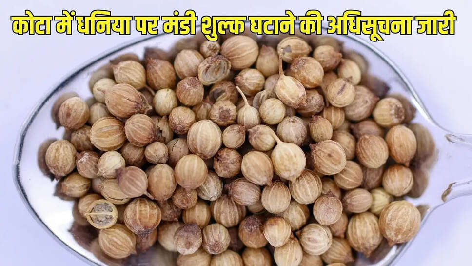 Mandi News : राजस्थान में किसानों को दी राहत, कोटा में धनिया पर मंडी शुल्क घटाने की अधिसूचना जारी&nbsp;