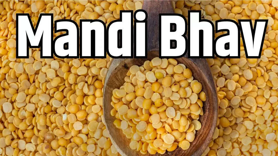 Mandi Bhav  दलहन फसल तुवर के दामों में आएगा उछाल, सरकारी खरीद की तैयारी 