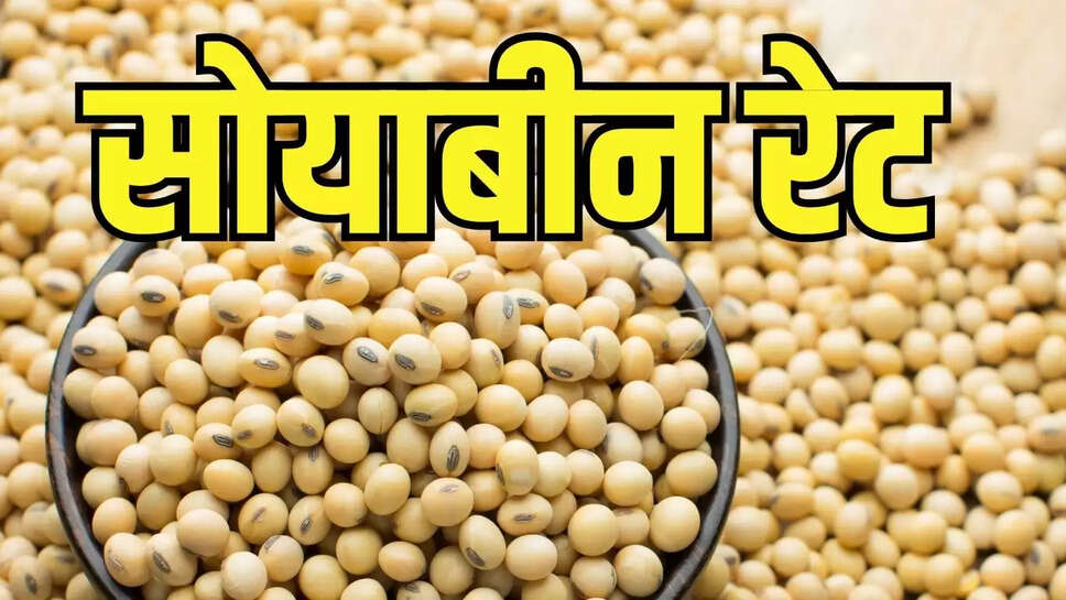 Soybean Rate : सोयाबीन फसल खराब हुई तो अब सरकार ने शुरू की भावांतर योजना 