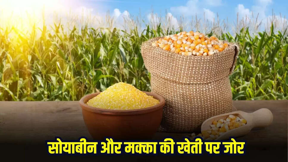 MP News