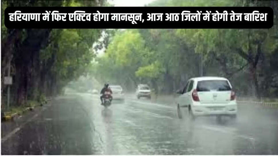 Haryana weather update : हरियाणा में फिर एक्टिव होगा मानसून, आज आठ जिलों में होगी तेज बारिश 