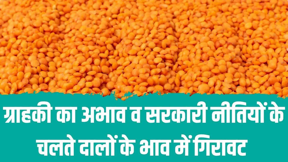 Mandi Bhav  ग्राहकी का अभाव व सरकारी नीतियों के चलते दालों के भाव में गिरावट&nbsp;