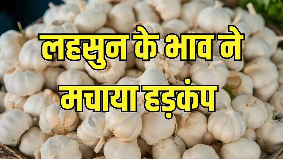 Garlic Rate  लहसुन के भाव ने लगाई लंबी छलांग, एक ही दिन में 200 रुपये प्रति किलो के रेट बढ़े&nbsp;