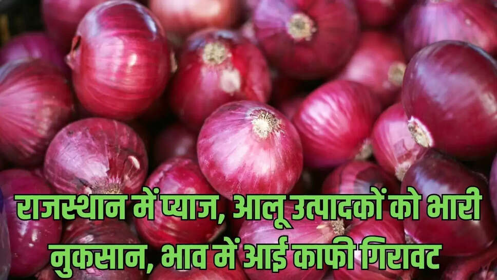 Onion Fall : राजस्थान में प्याज, आलू उत्पादकों को भारी नुकसान, भाव में आई काफी गिरावट