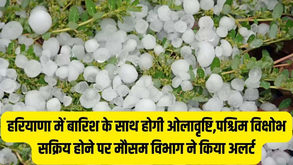 Haryana weather : हरियाणा में बारिश के साथ होगी ओलावृष्टि,पश्चिम विक्षोभ सक्रिय होने पर मौसम विभाग ने किया अलर्ट