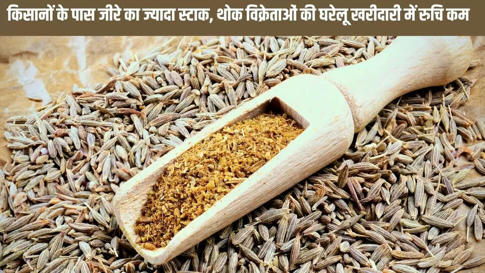Spices Wholesale : किसानों के पास जीरे का ज्यादा स्टाक, थोक विक्रेताओं की घरेलू खरीदारी में रुचि कम 
