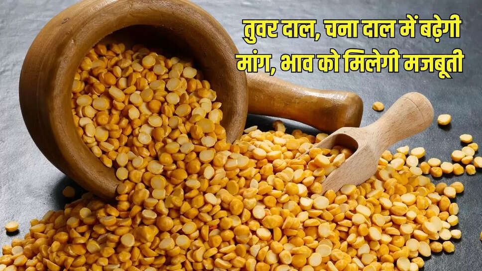 तुवर दाल, चना दाल में बढ़ेगी मांग, भाव को मिलेगी मजबूती 