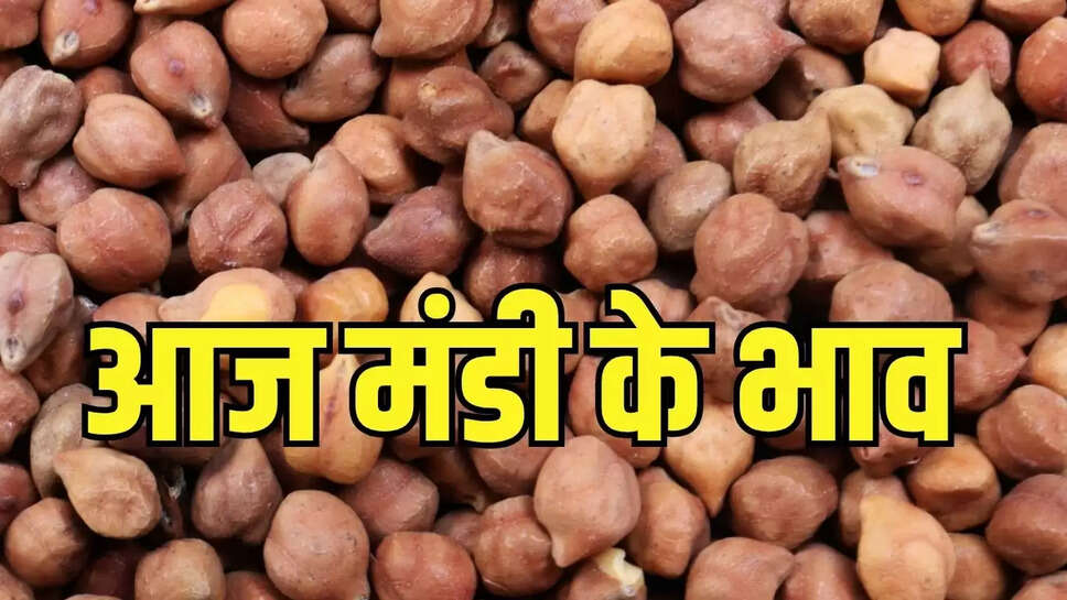 Mandi Bhav : चने को लेवाली का नहीं मिला समर्थन, भाव में आई गिरावट