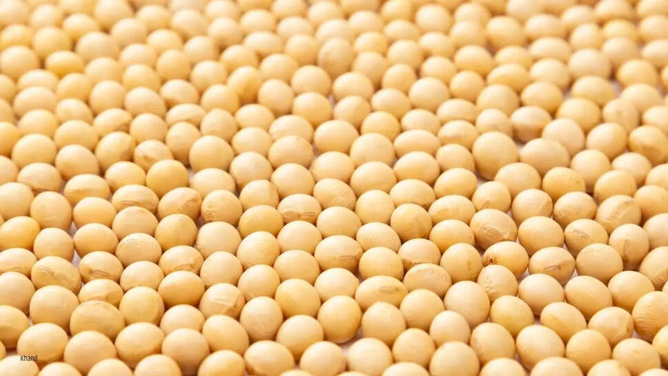 Soybean rate  खाद्य तेलों का आयात में कमी, सोयाबीन रिफाइंड तेल में आया जोरदार उछाल