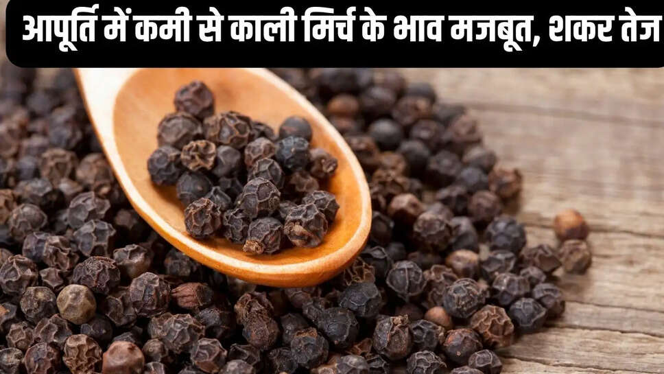 Grocery Market  आपूर्ति में कमी से काली मिर्च के भाव मजबूत, शकर तेज