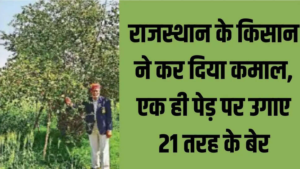 Success Story : राजस्थान के किसान ने कर दिया कमाल, एक ही पेड़ पर उगाए 21 तरह के बेर