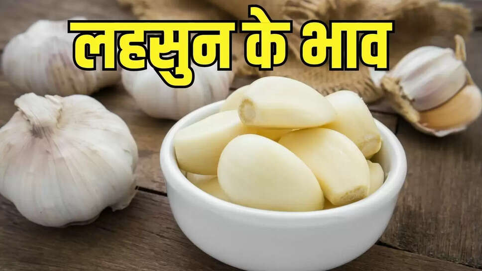 Lahsun ka Bhav  लहसुन के भाव में तेज उछाल, राजस्थान की मंडियों में 20 दिन में दोगुने हुए रेट&nbsp;