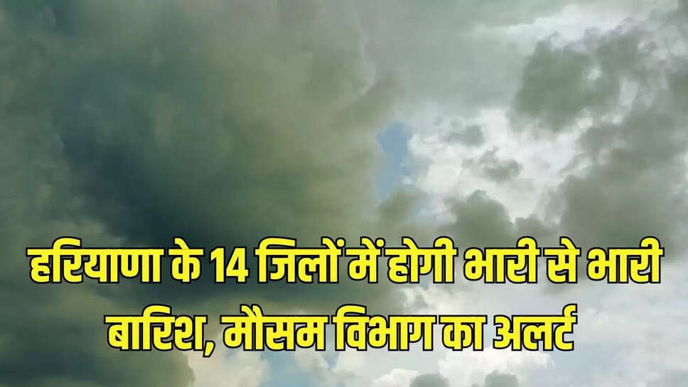 Haryana Heavy rain Alert : हरियाणा के 14 जिलों में होगी भारी से भारी बारिश, मौसम विभाग का अलर्ट 