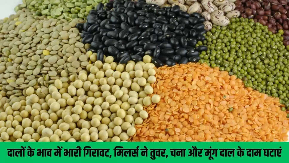 Mandi Bhav : दालों के भाव में भारी गिरावट, मिलर्स ने तुवर, चना और मूंग दाल के दाम घटाएं