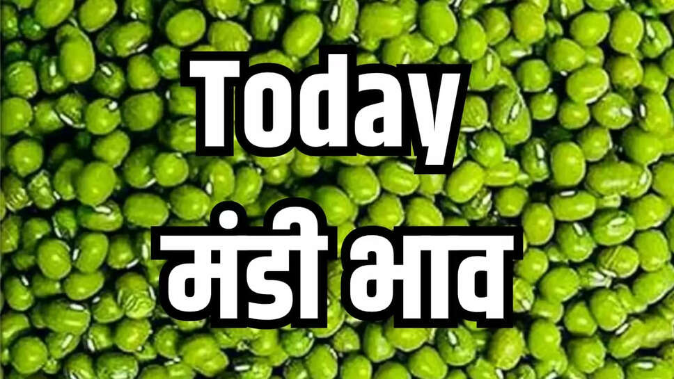 Today Mandi Bhav