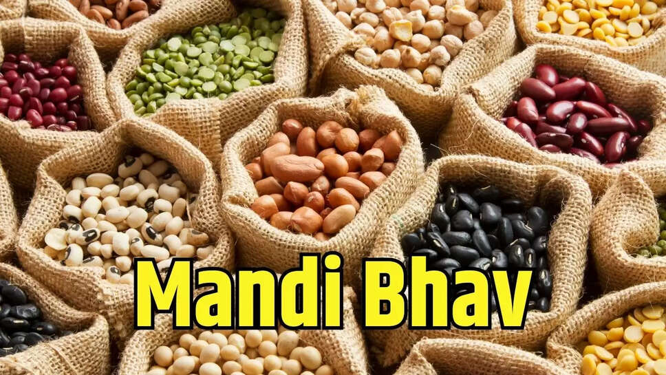 Mandi Bhav  दाल मिलों की चने में लेवाली कमजोर, तुवर की कीमतों में तेजी के आसार नहीं