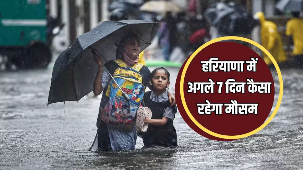 Light rain in these 6 districts till September 12, Haryana hindi news, hayana news, Hindi news, weather news, weather update,monsoon in haryana