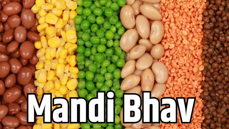 Mandi Bhav  मांग कमजोर होने पर मूंग व उड़द दाल के भाव में गिरावट&nbsp;