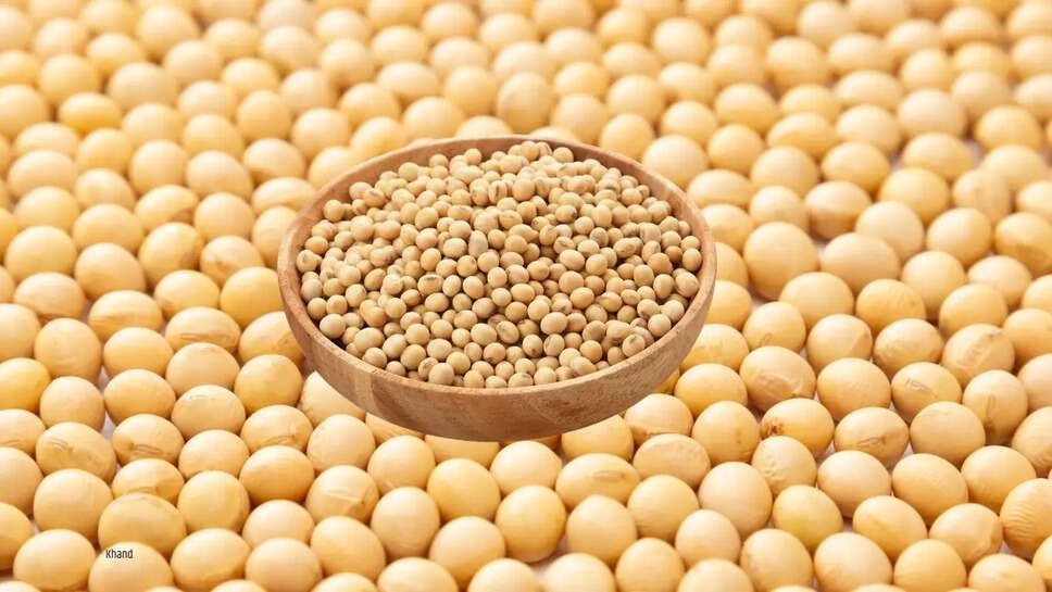 सोयामील&nbsp;का निर्यात 50&nbsp;प्रतिशत&nbsp;घटने की संभावना