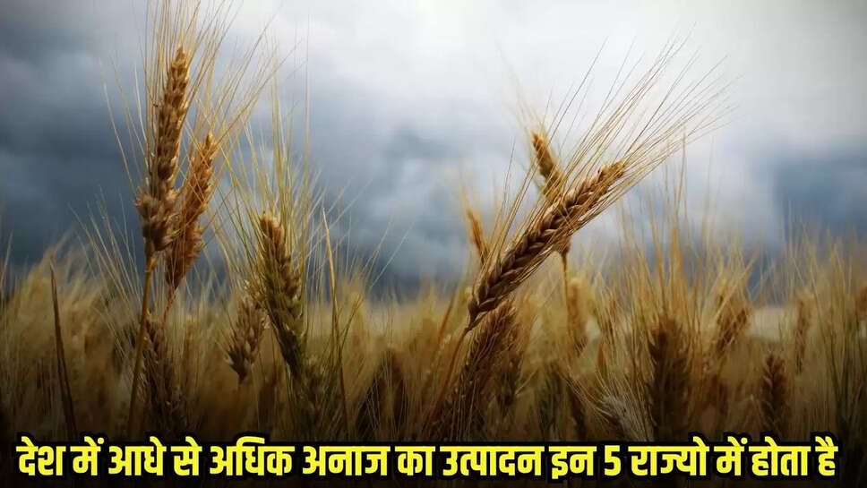 Grain country