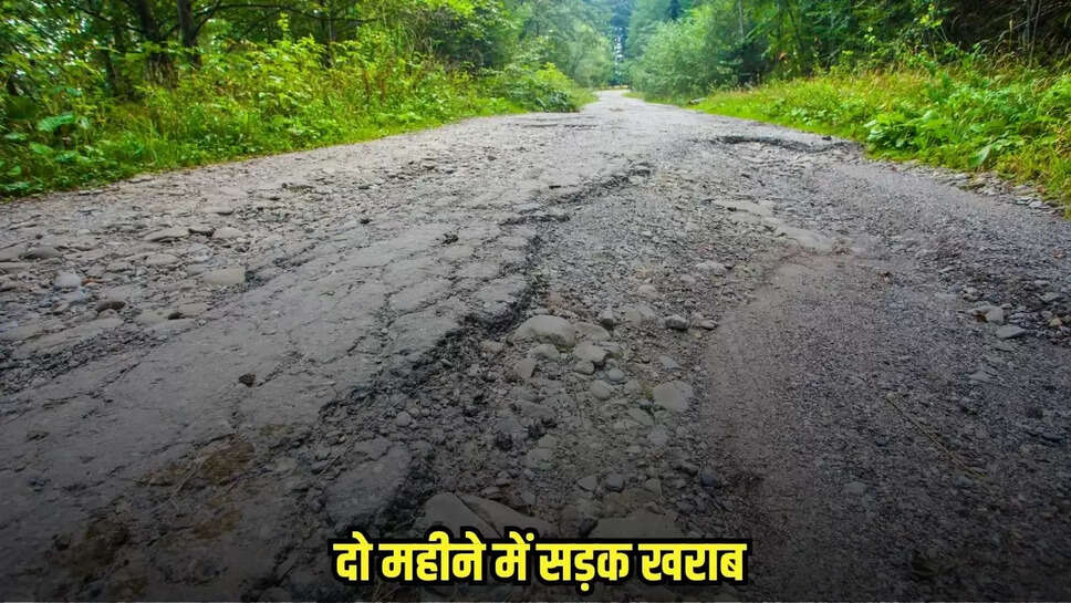 MP News