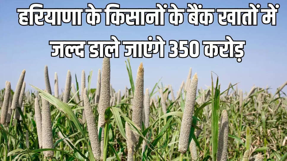 Bhavantar Compensation Scheme  हरियाणा के किसानों के बैंक खातों में जल्द डाले जाएंगे 350 करोड़ 