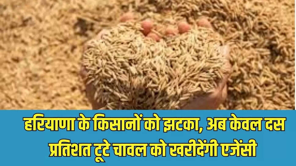 Haryana Paddy Purchase : हरियाणा के किसानों को झटका, अब केवल दस प्रतिशत टूटे चावल को खरीदेंगी एजेंसी 