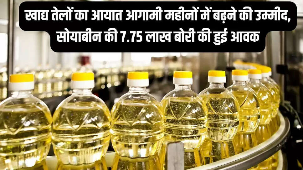 Edible Oil Market  खाद्य तेलों का आयात आगामी महीनों में बढ़ने की उम्मीद, सोयाबीन की 7.75 लाख बोरी की हुई आवक