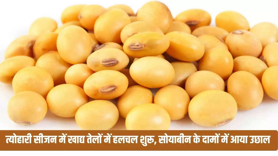 Mandi Price : त्योहारी सीजन में खाद्य तेलों में हलचल शुरू, सोयाबीन के दामों में आया उछाल 